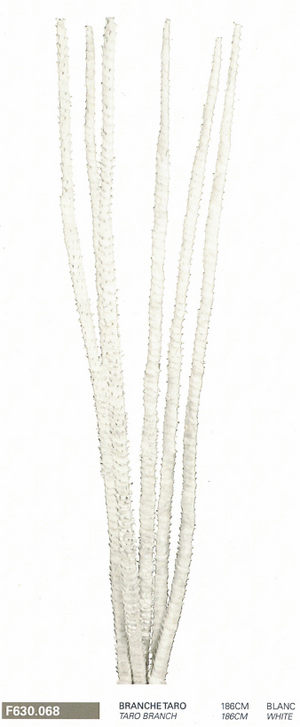 Branche de taro 186cm BLANC