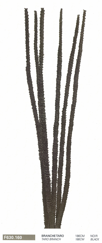 Branche de taro 186cm NOIR