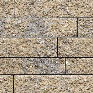 Beige Carbonifère